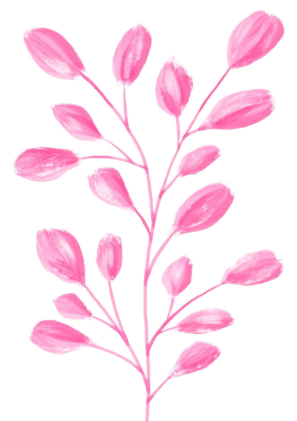 Pink Gentle Plant