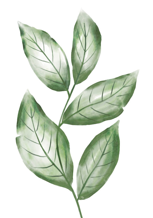 Green Watercolour Leaf Plant Set One