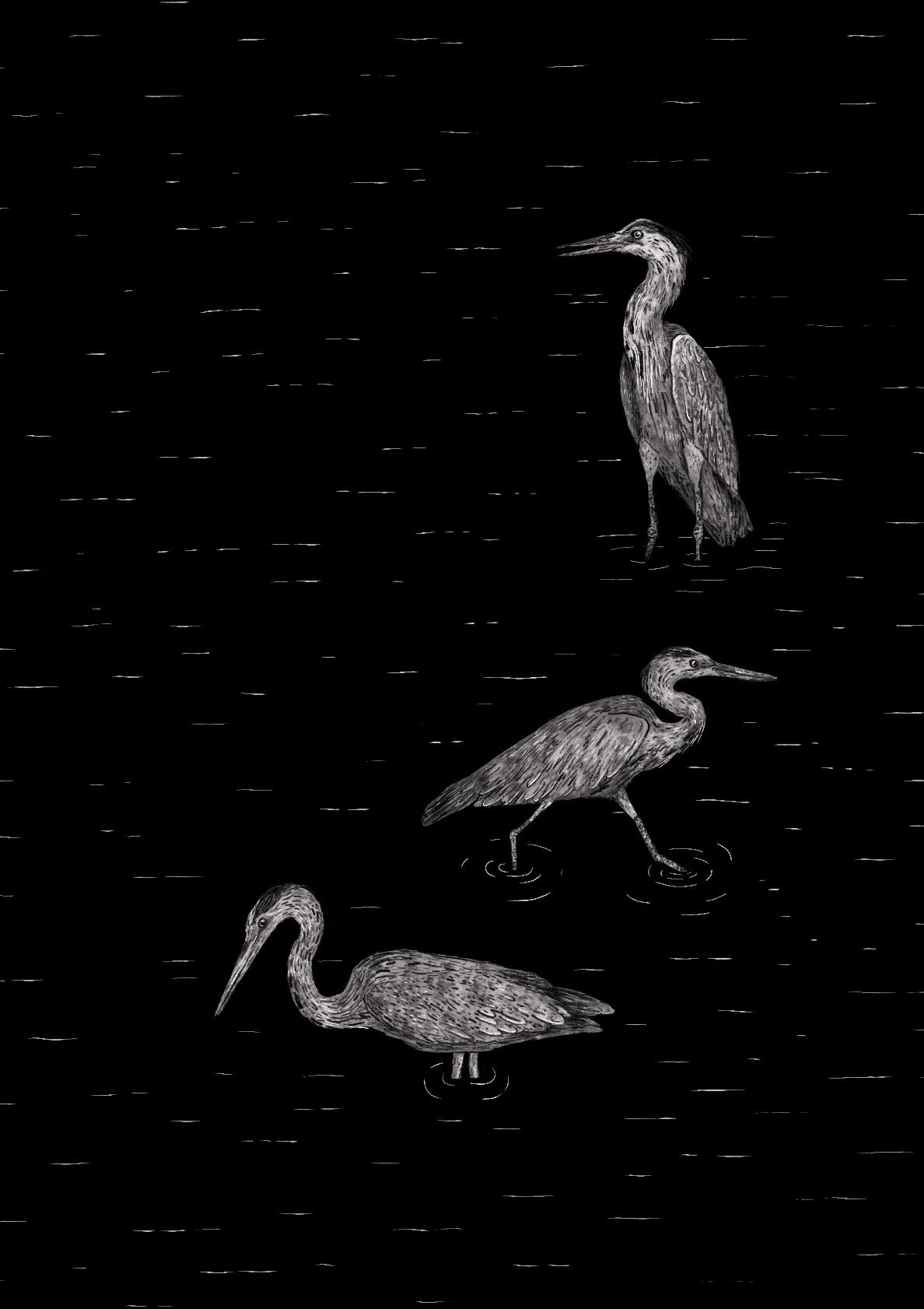 Three Herons - Black Edition