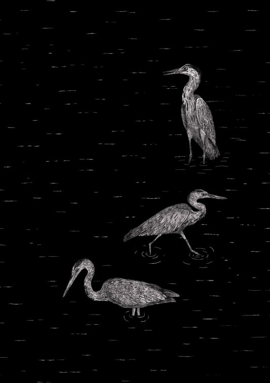 Three Herons - Black Edition