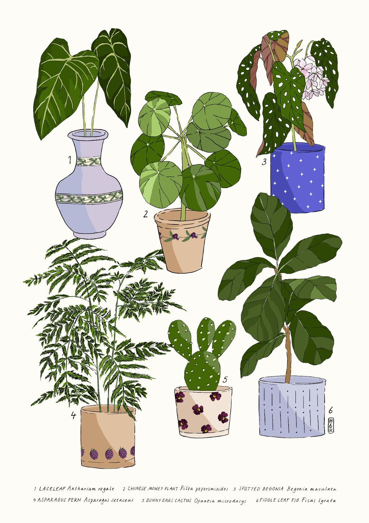 Houseplant Party