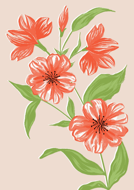 Gentle orange blooms