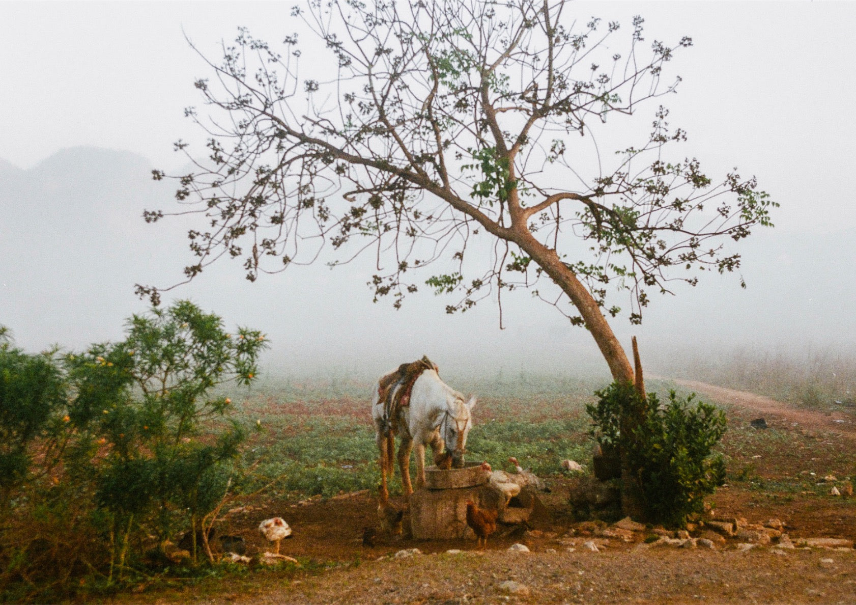 Morning get together