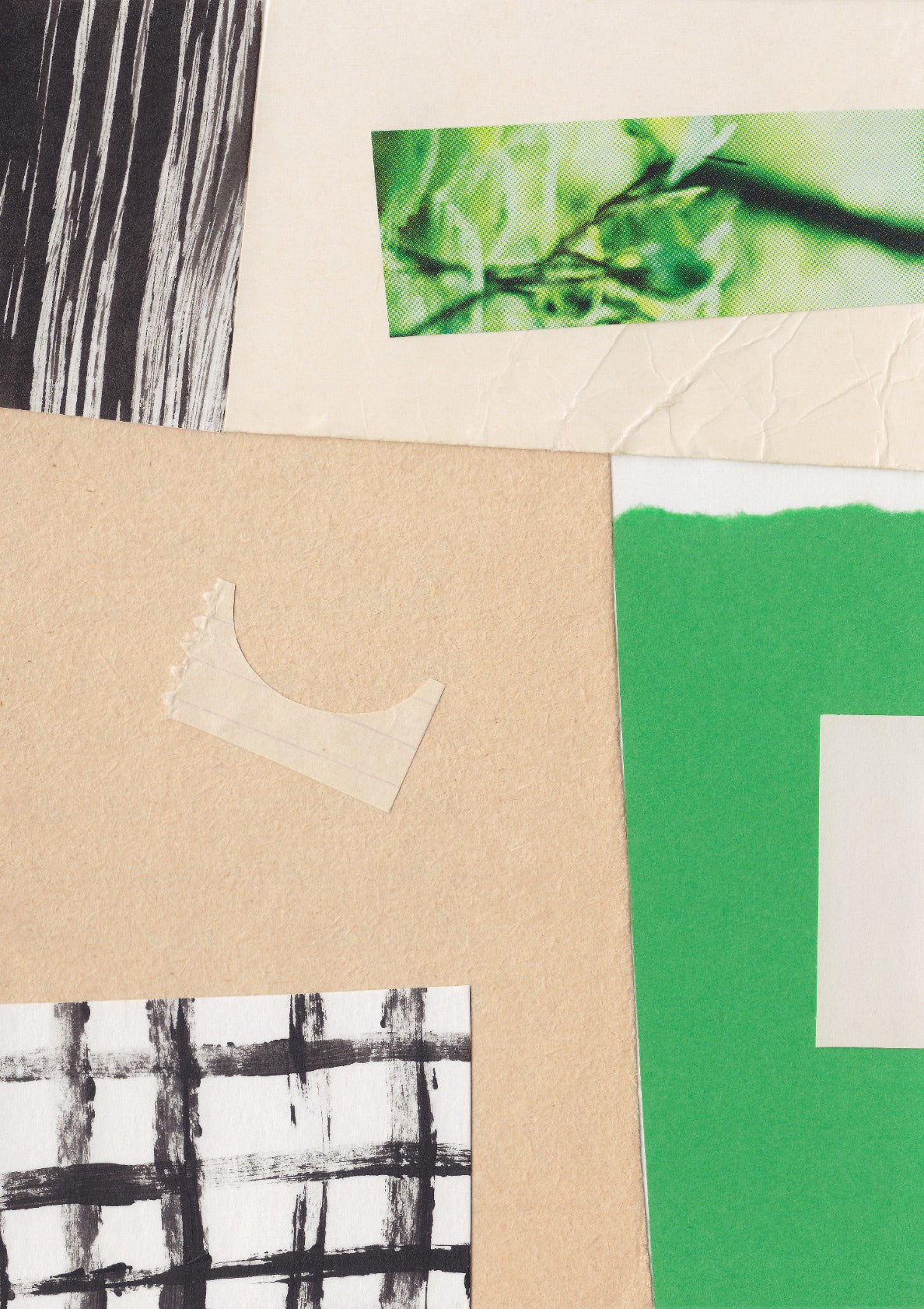 One Color Collection / Chateau Green