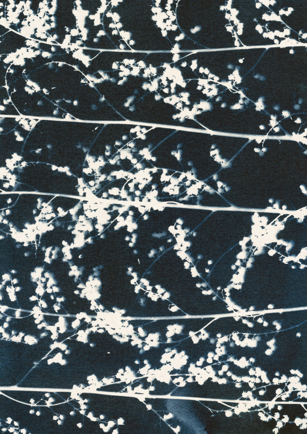 Patterns of Nature #1