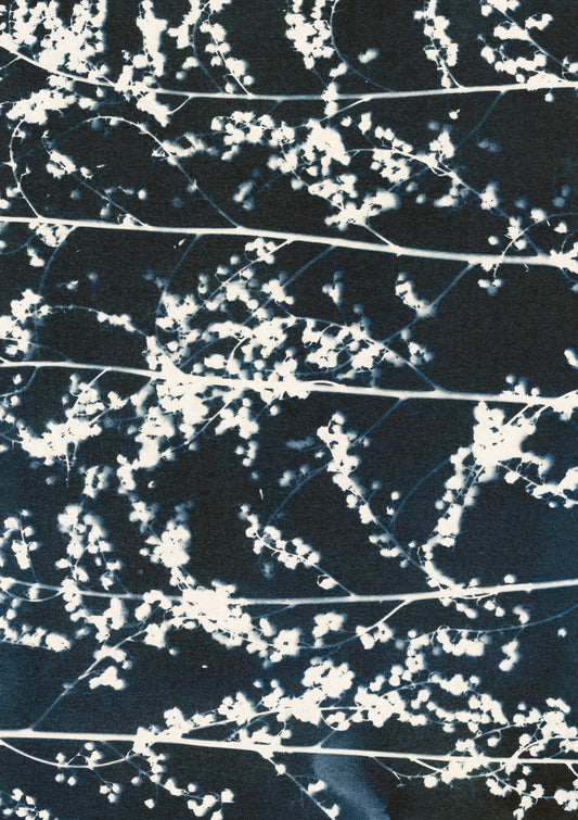 Patterns of Nature #1