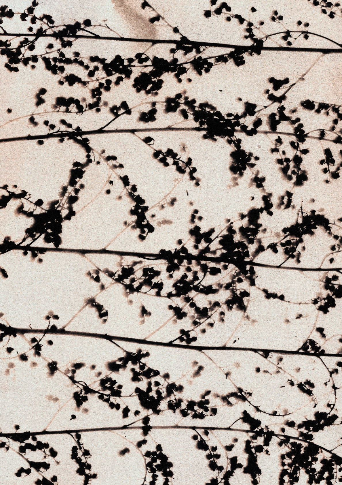 Patterns of Nature #2