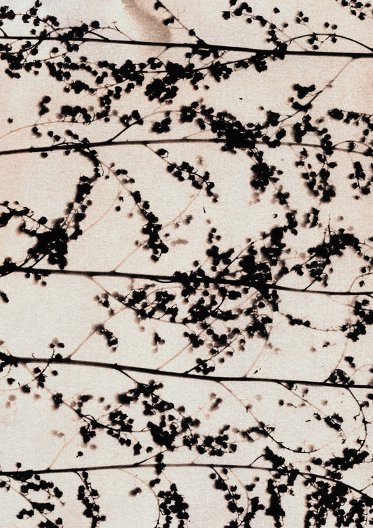 Patterns of Nature #2