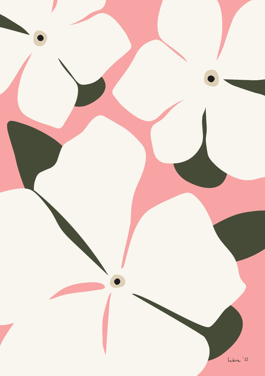 Pink tulips in a vase