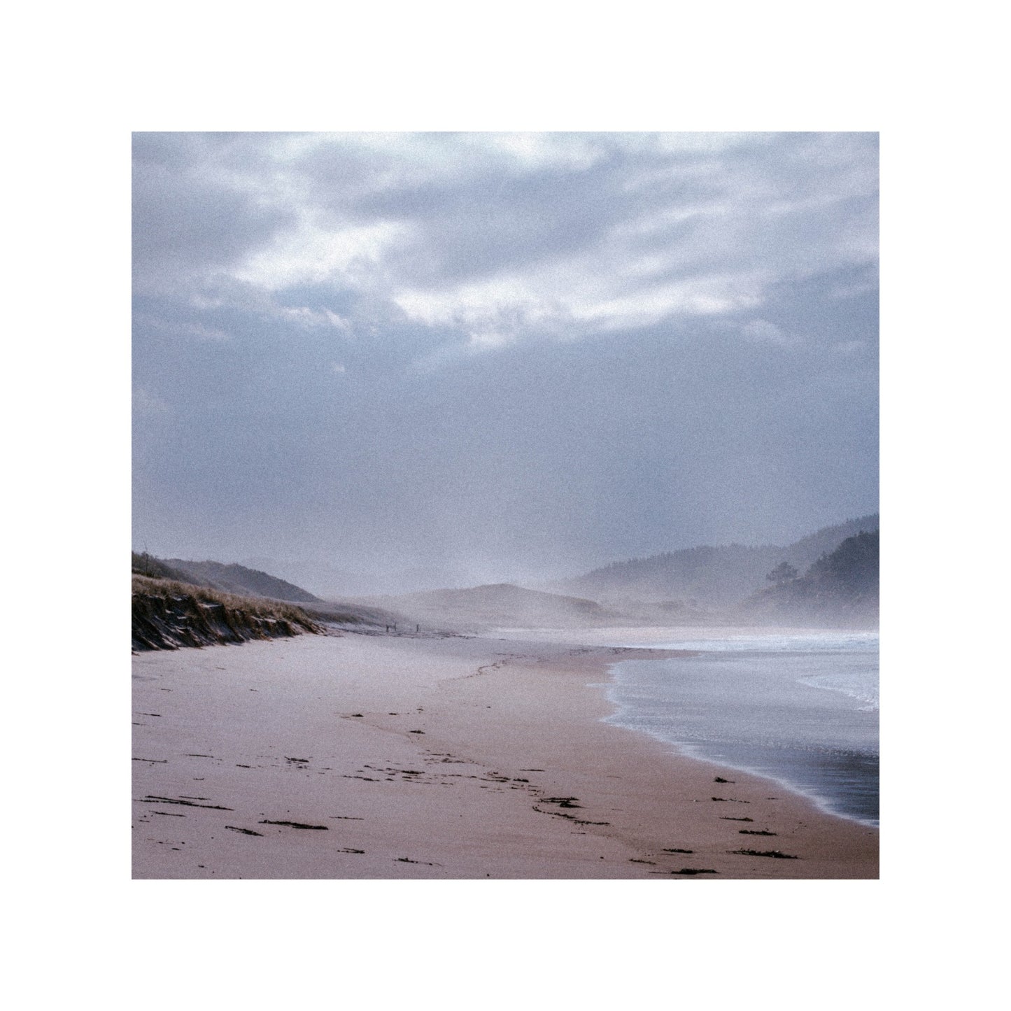 Landscape in New Zealand