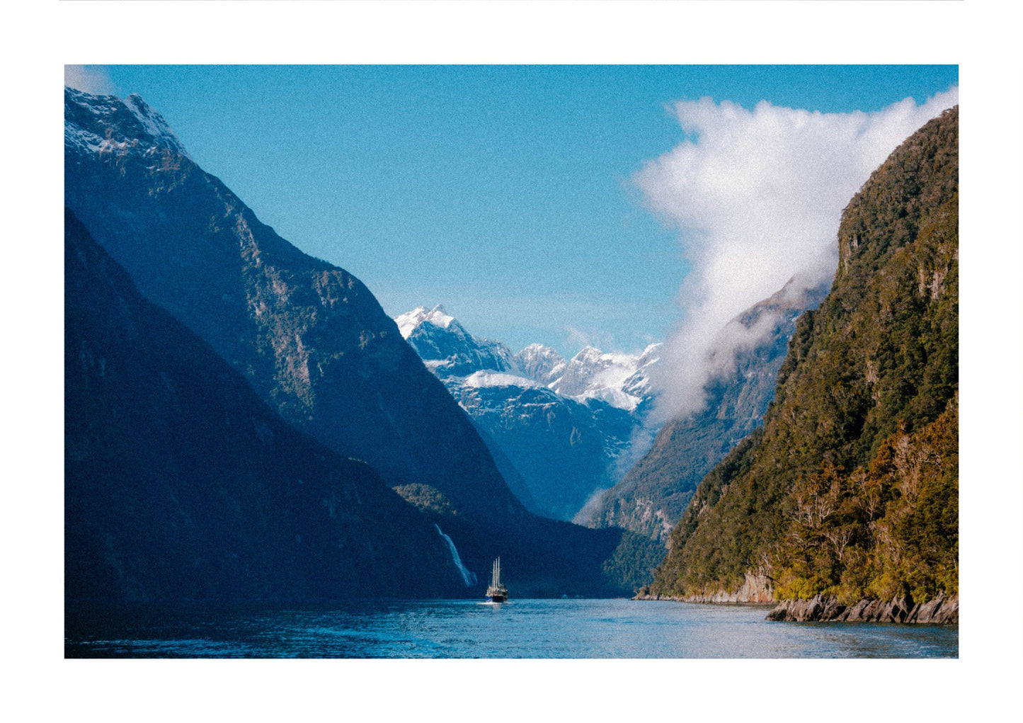 Fjord in New Zealand