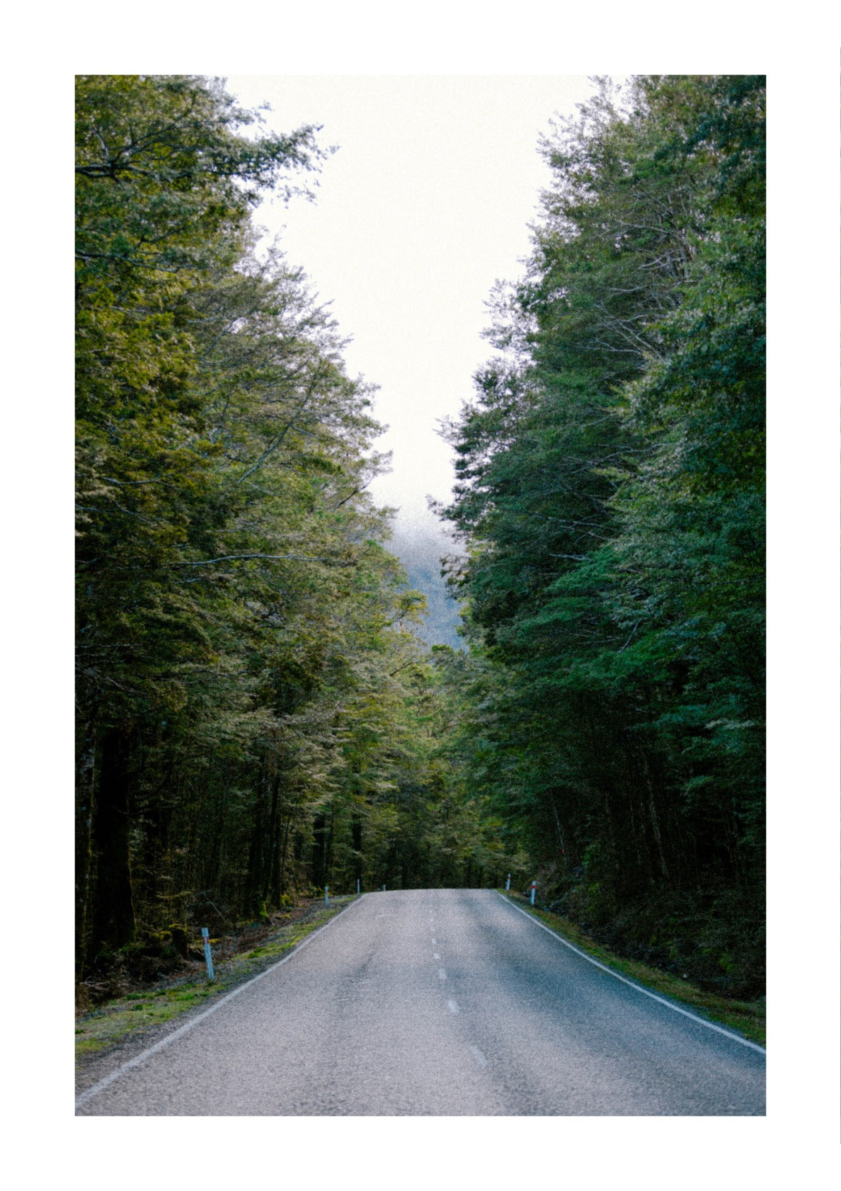 On a road in New Zealand