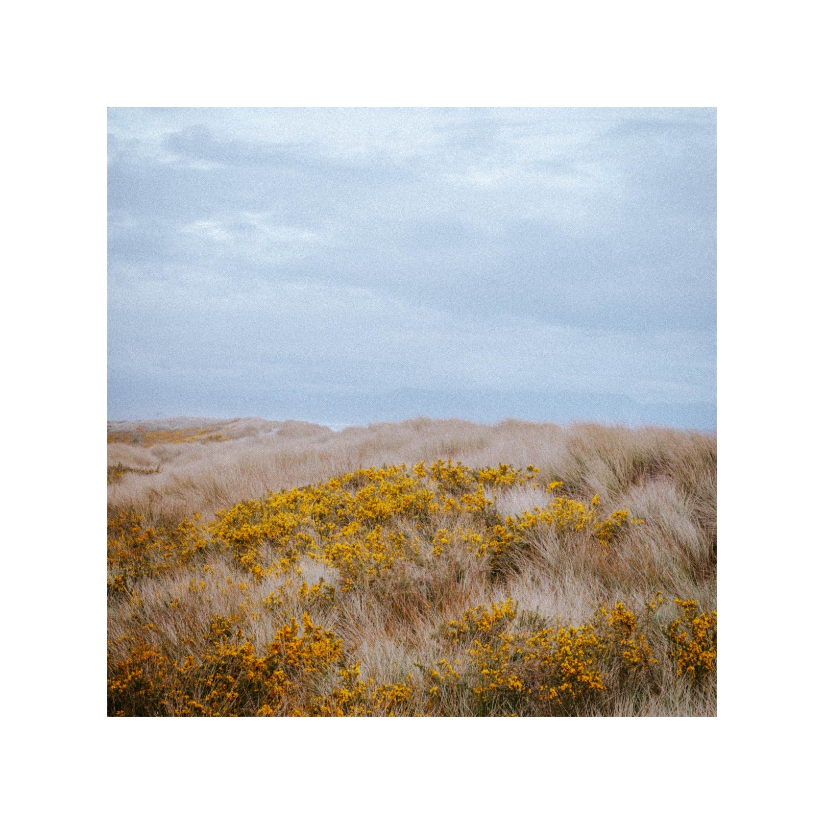 Alone in New Zealand