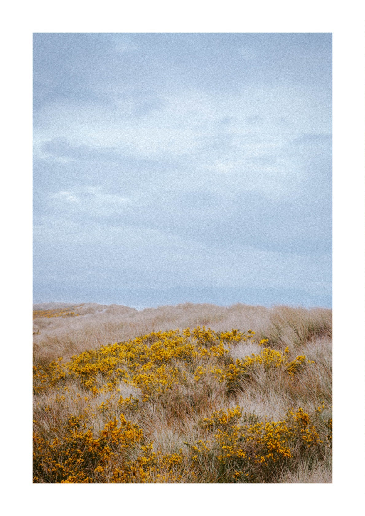 Alone in New Zealand