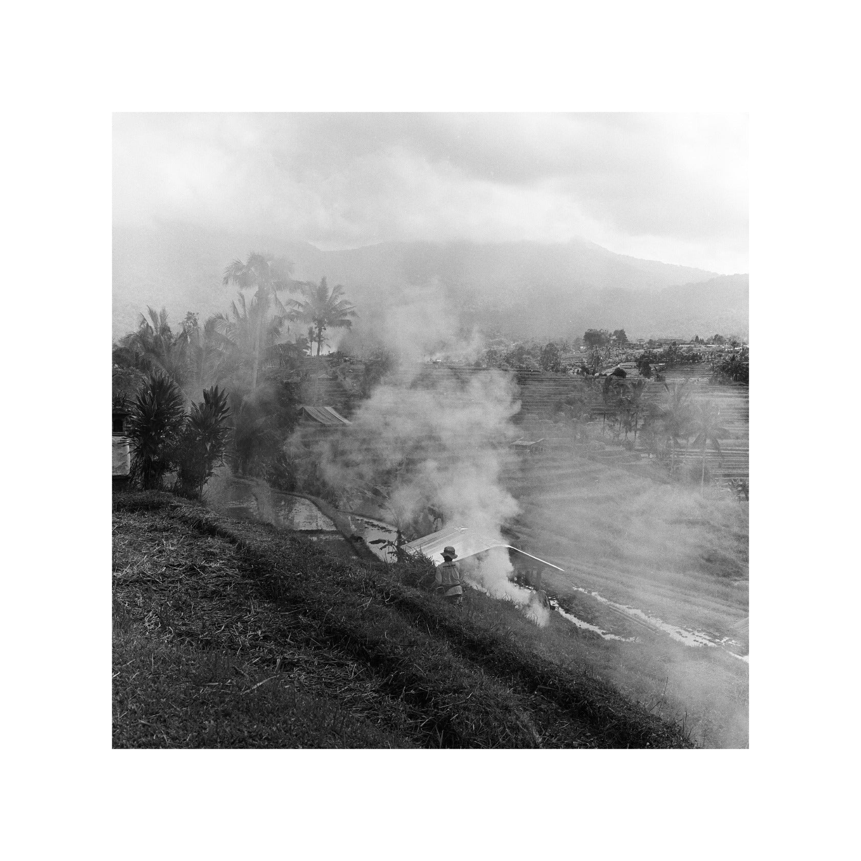 Rice field at Jatiluwih in Bali