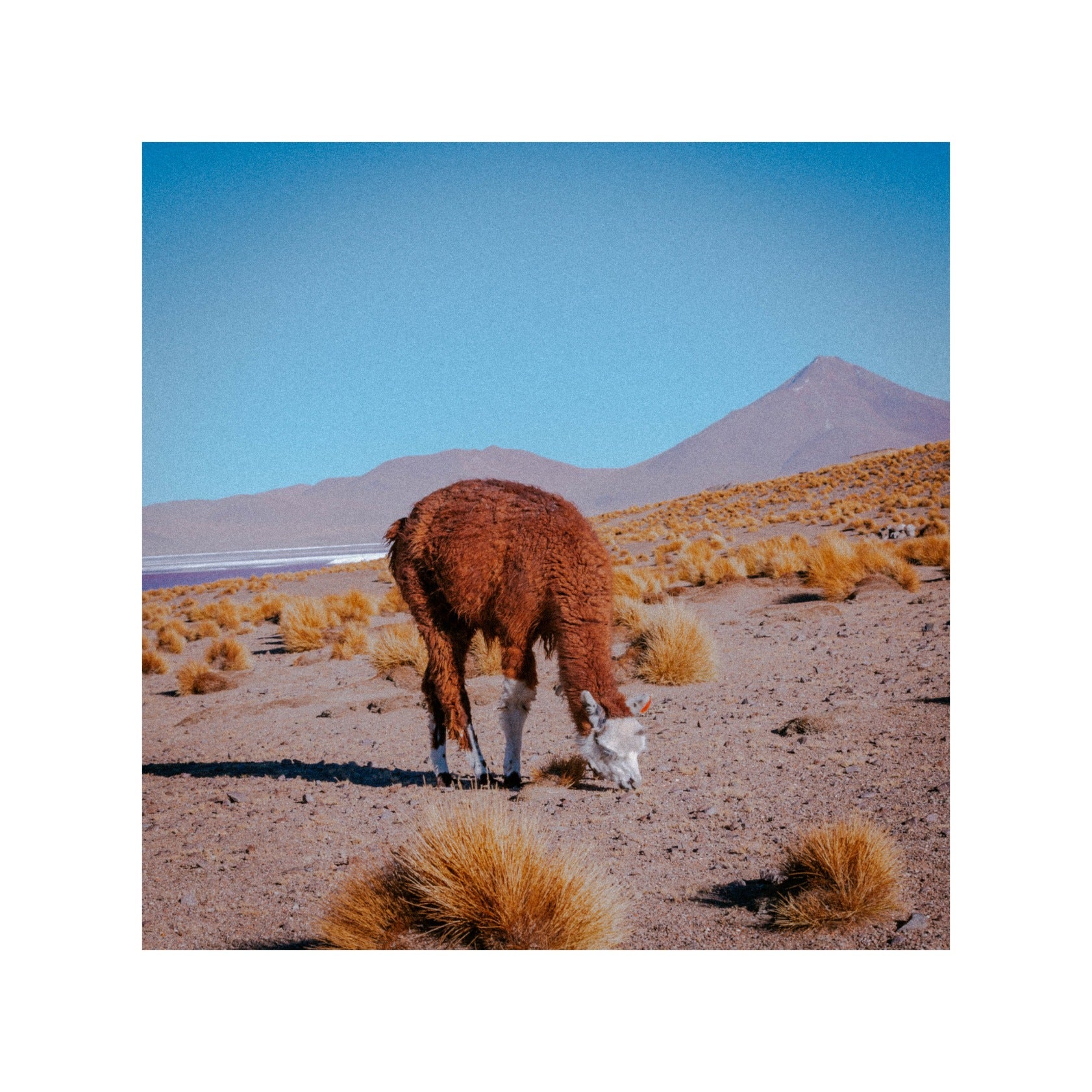 Uyuni