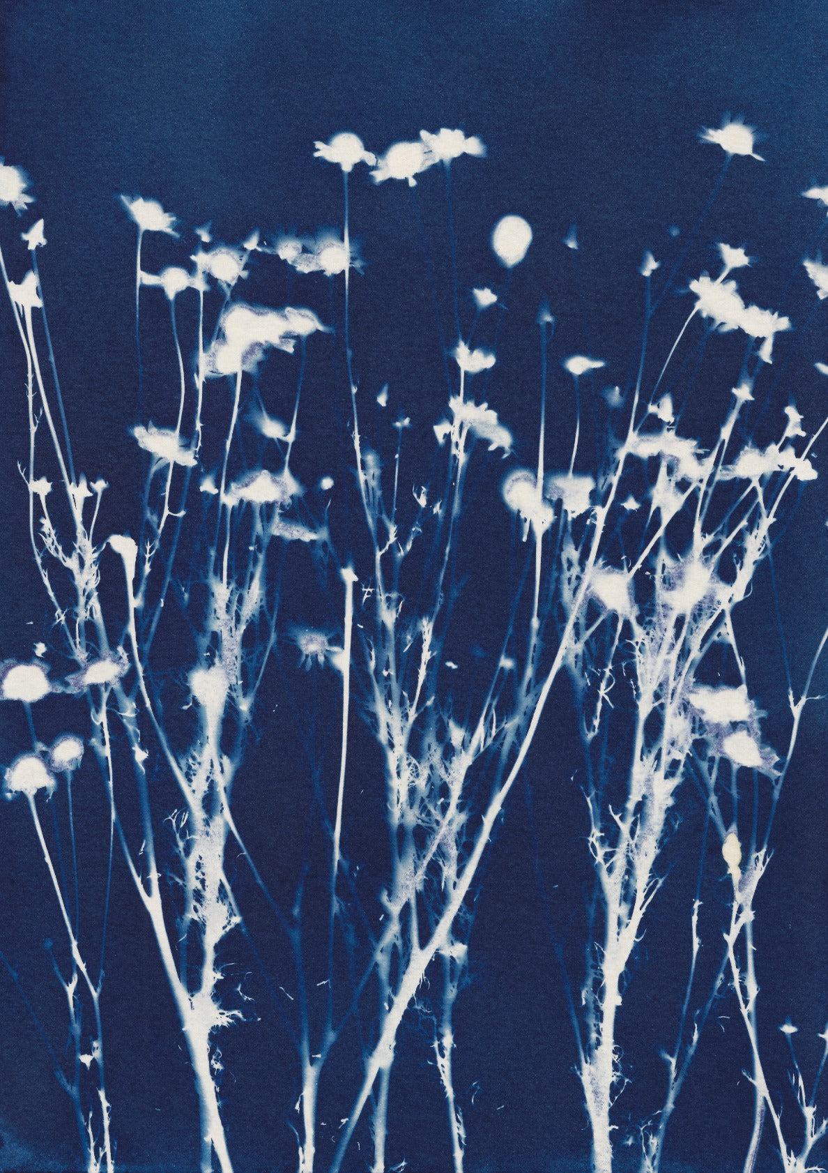 Magic in the Ordinary #10