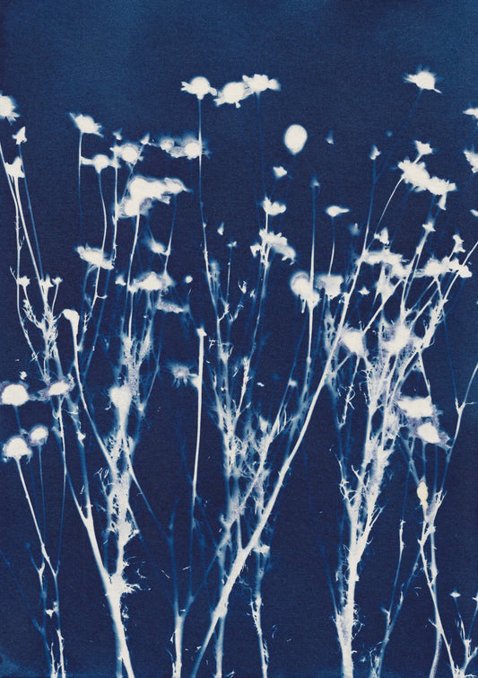 Magic in the Ordinary #10