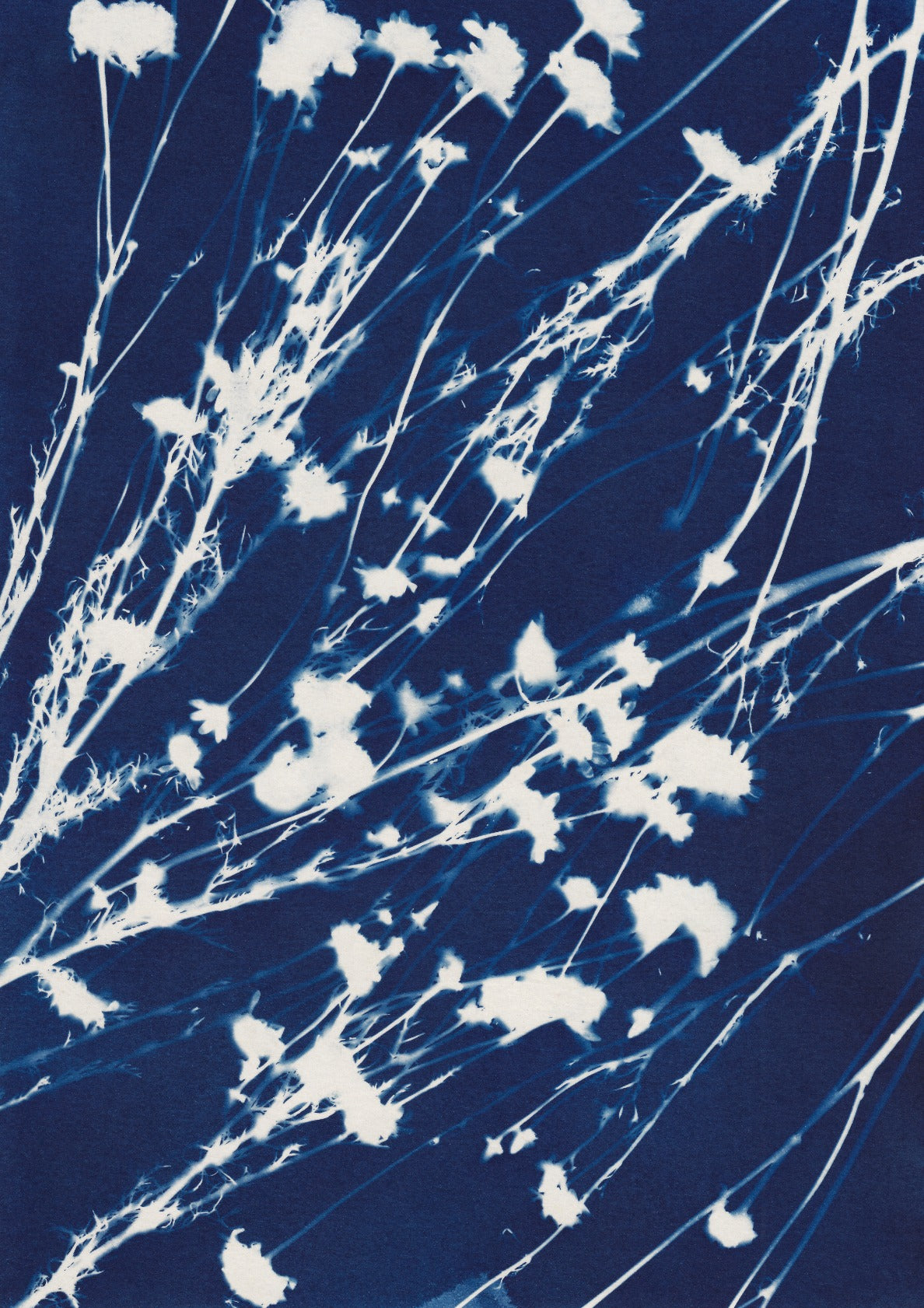 Magic in the Ordinary #11