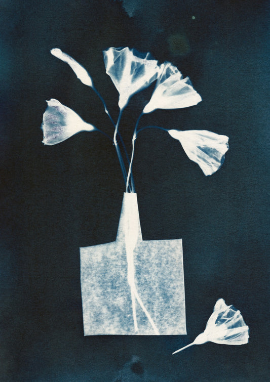 Magic in the Ordinary #8 / Dark