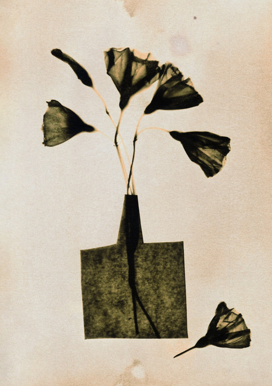 Magic in the Ordinary #8 / Light