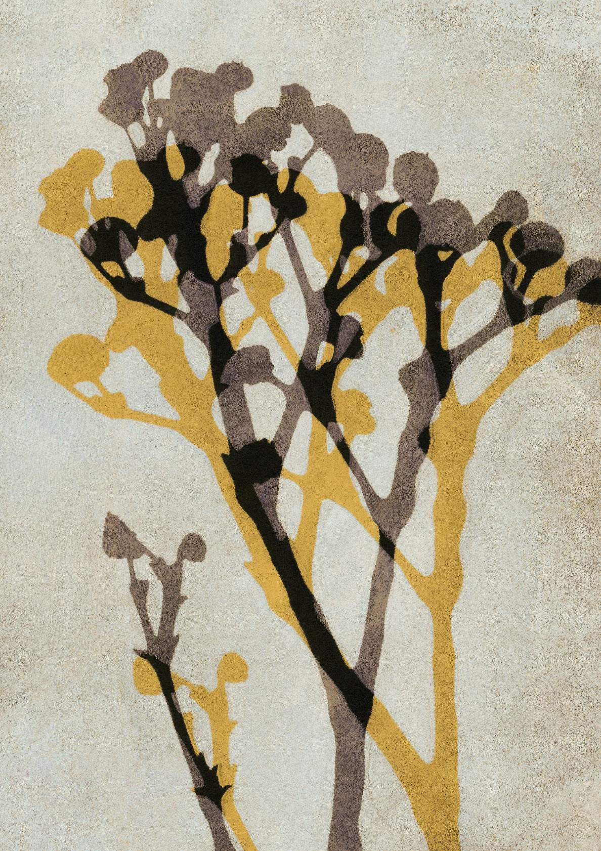 Echoes of Gypsophila / Yellow & Brown