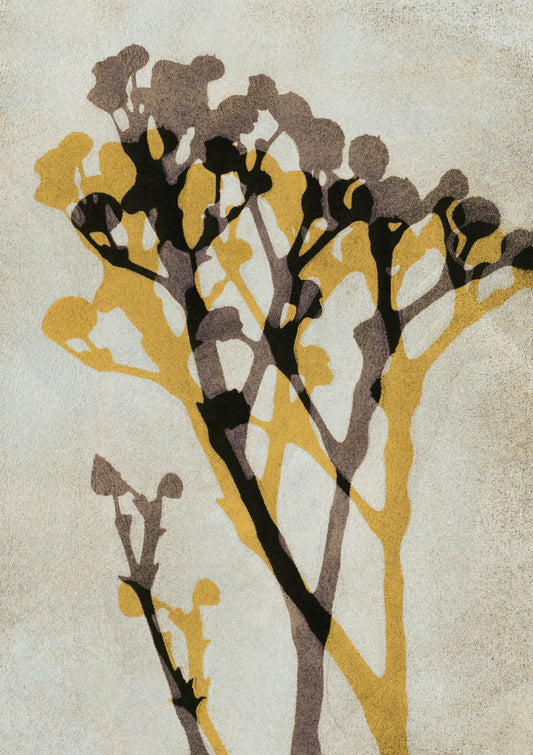 Echoes of Gypsophila / Yellow & Brown