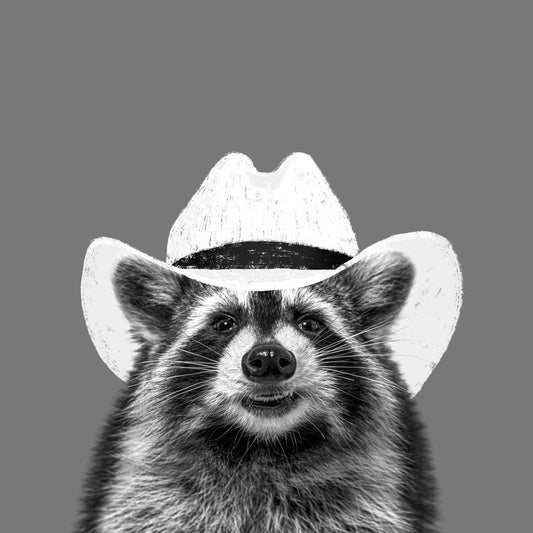 Wyatt The Cowboy Raccoon