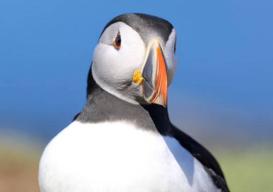 What you looking at.......