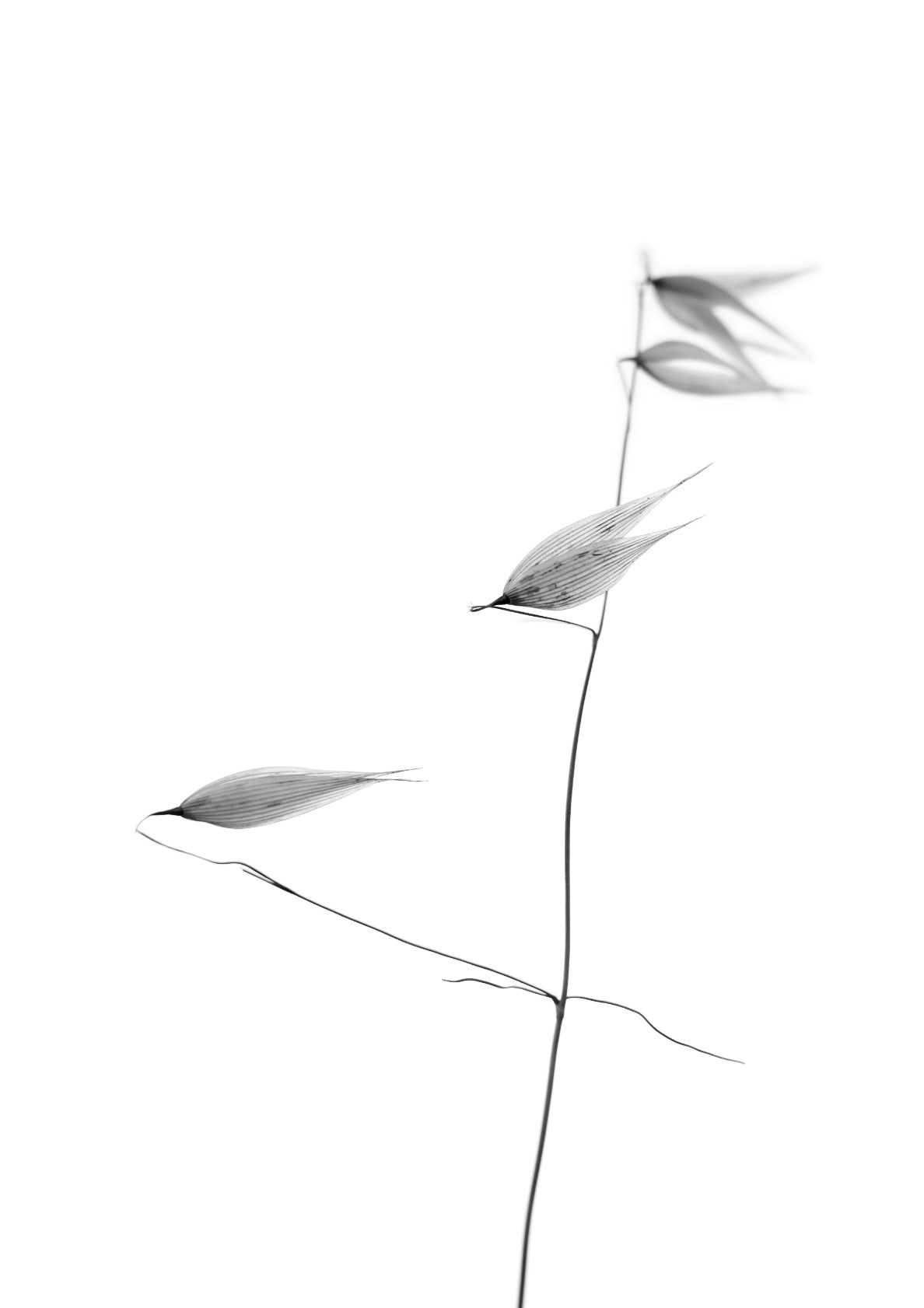 In light of current events IV