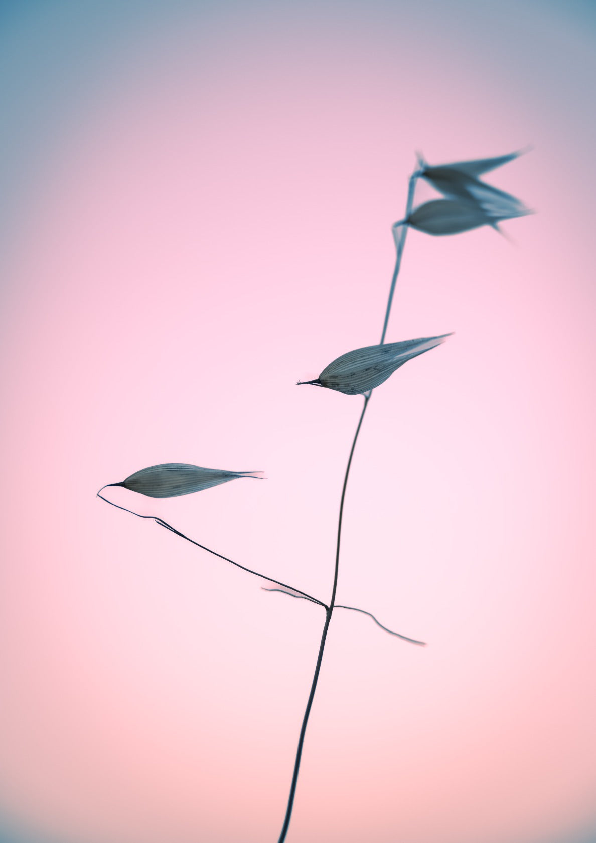 In light of current events V