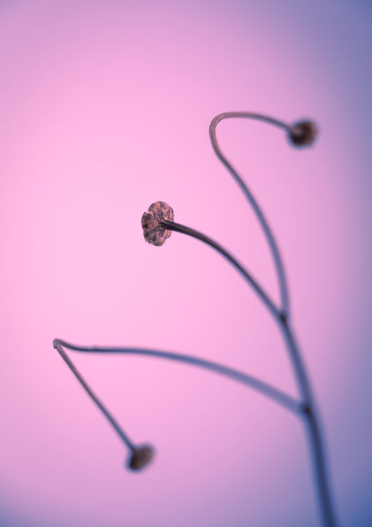 In light of current events VI