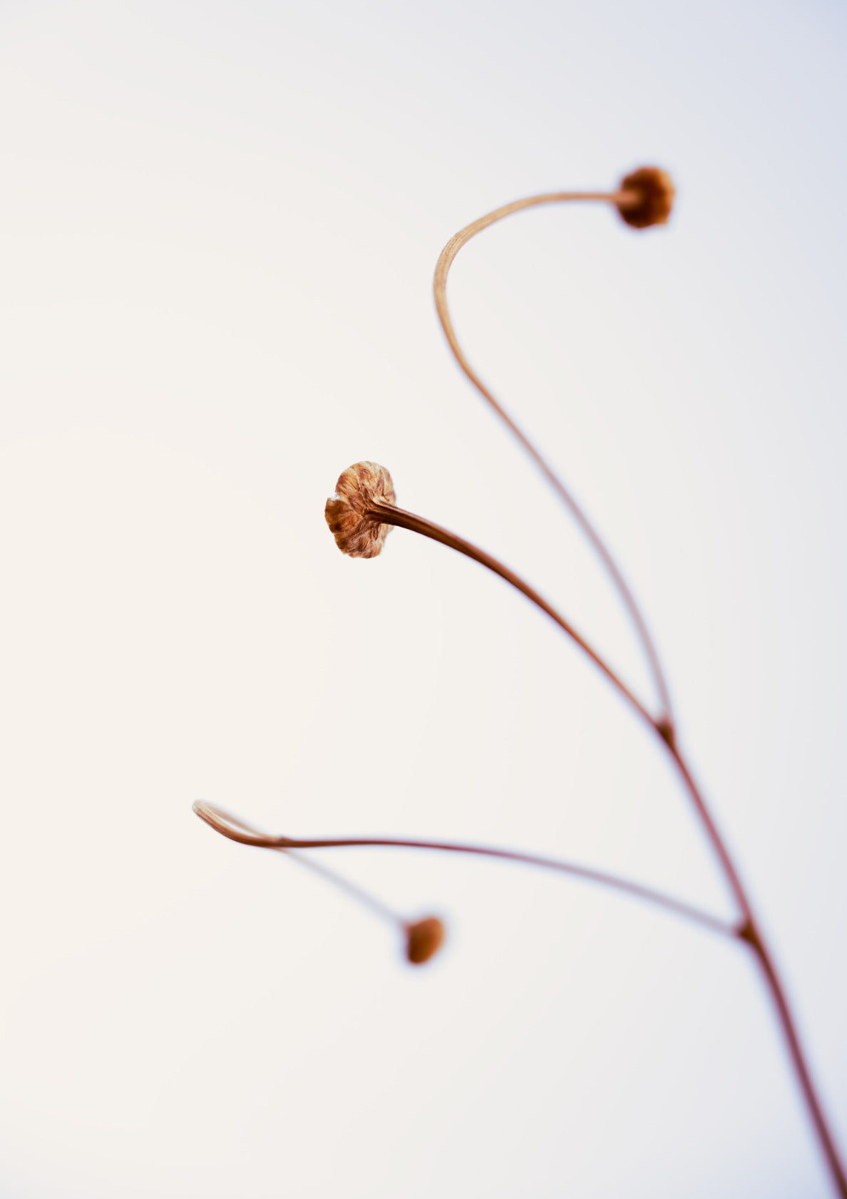 In light of current events VIII