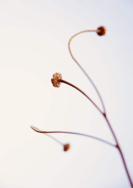 In light of current events VIII