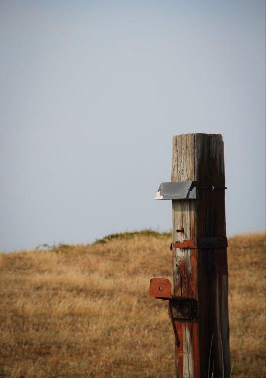 Wooden post