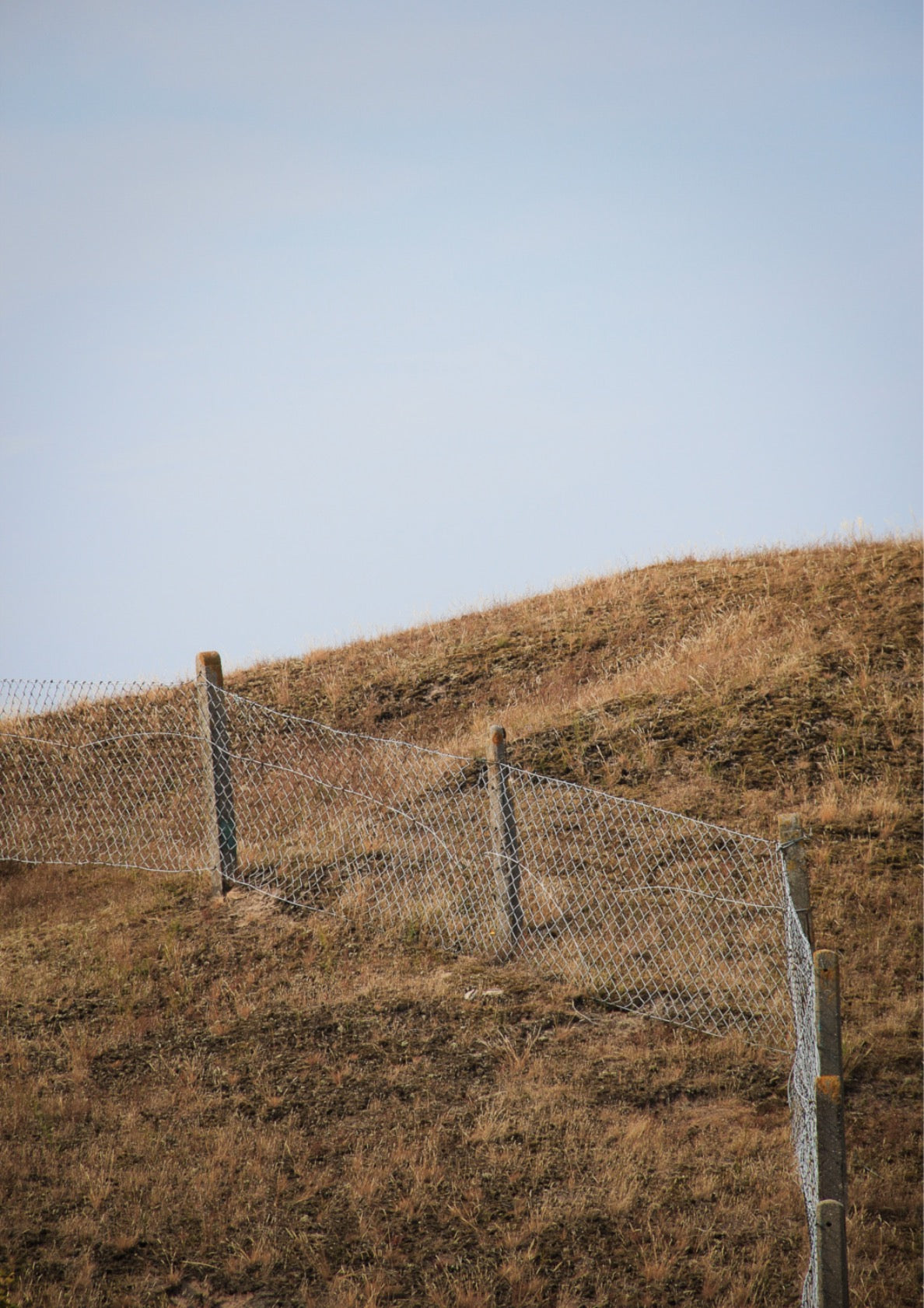 Fence on dune
