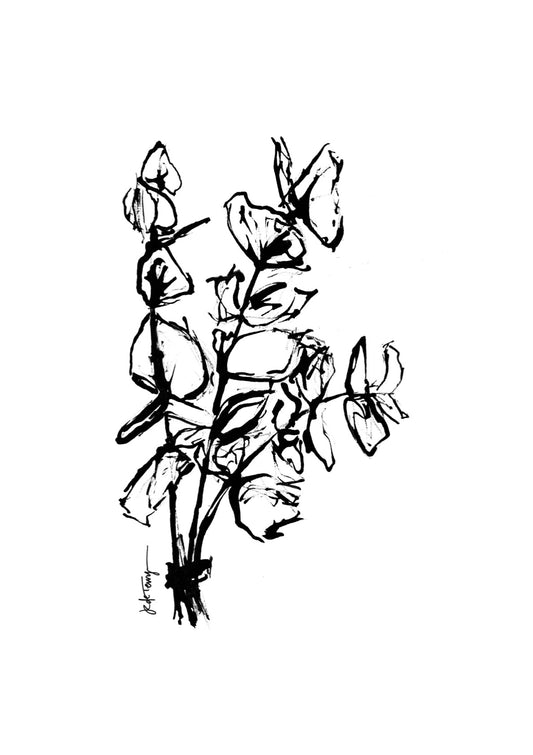 Eucalyptus Bold Illustration