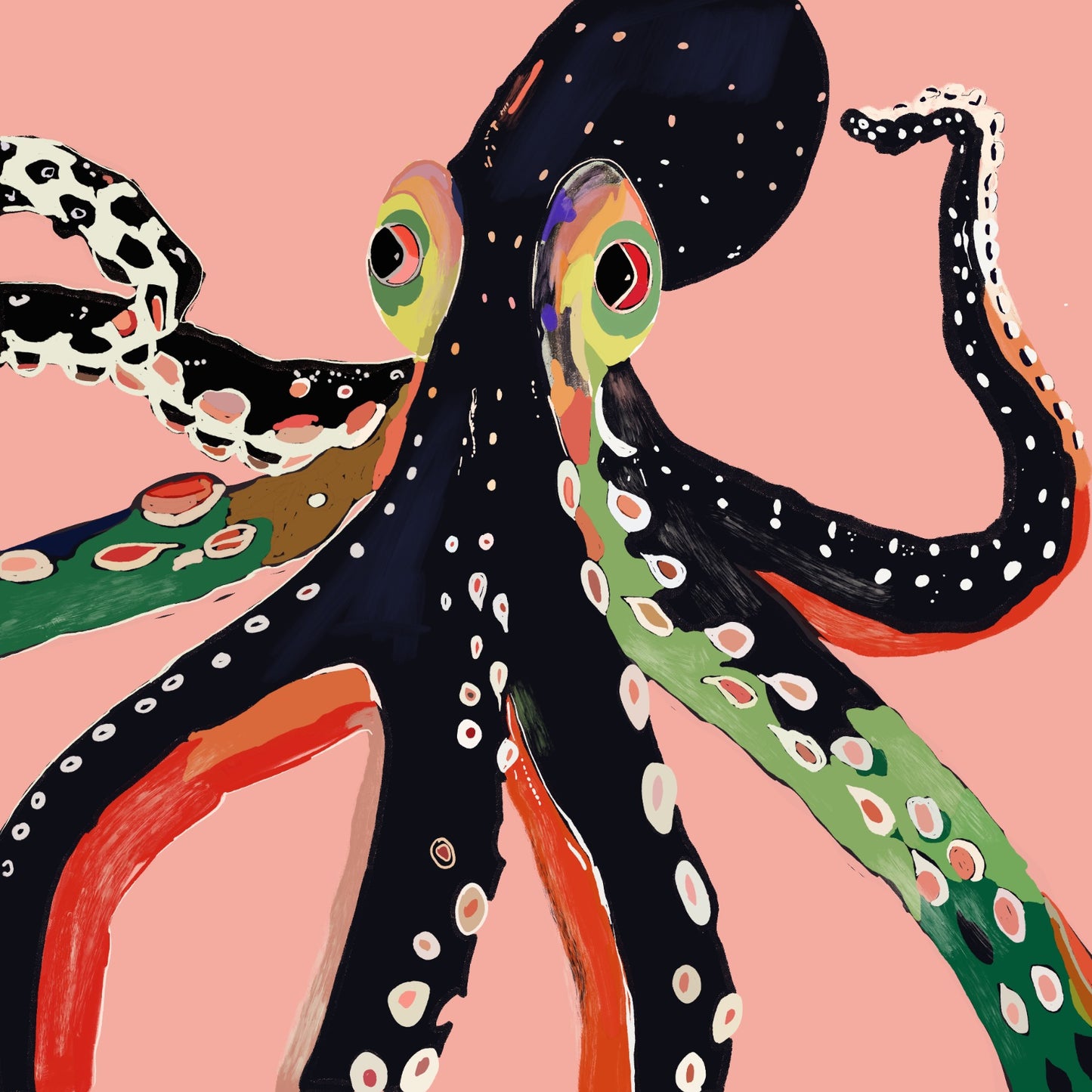 Colorful Octopus