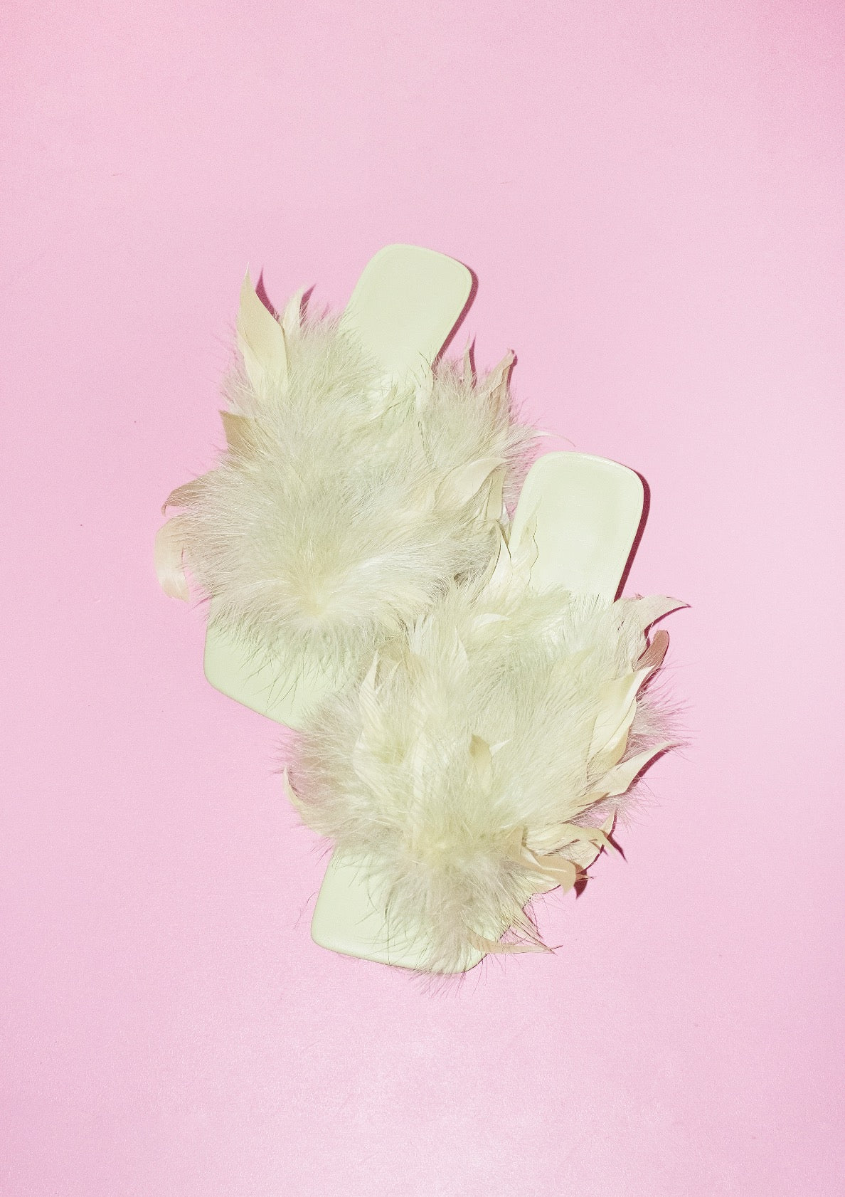 Contemporary feather heel print