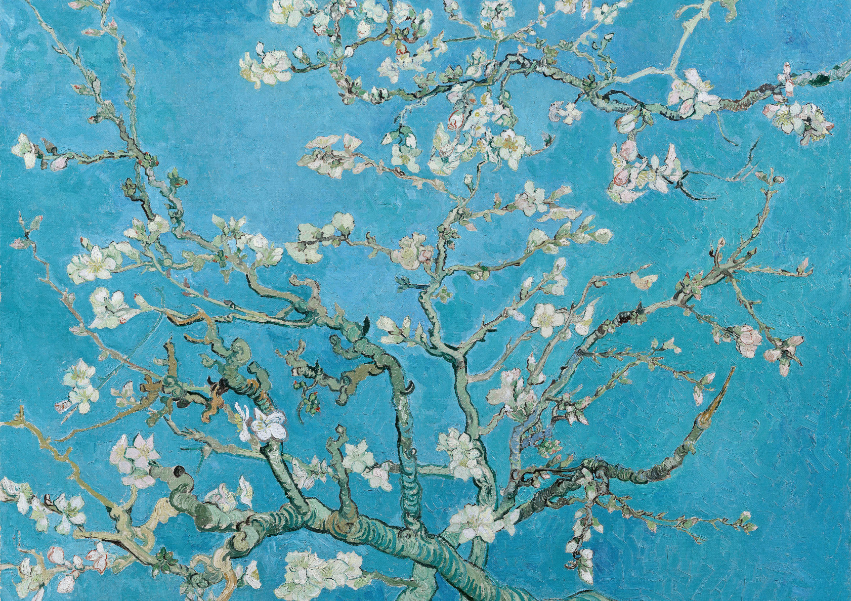 Almond Blossom