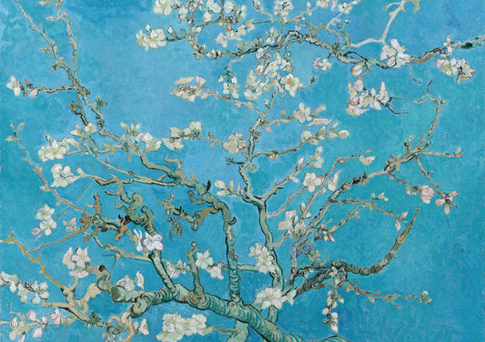 Almond Blossom