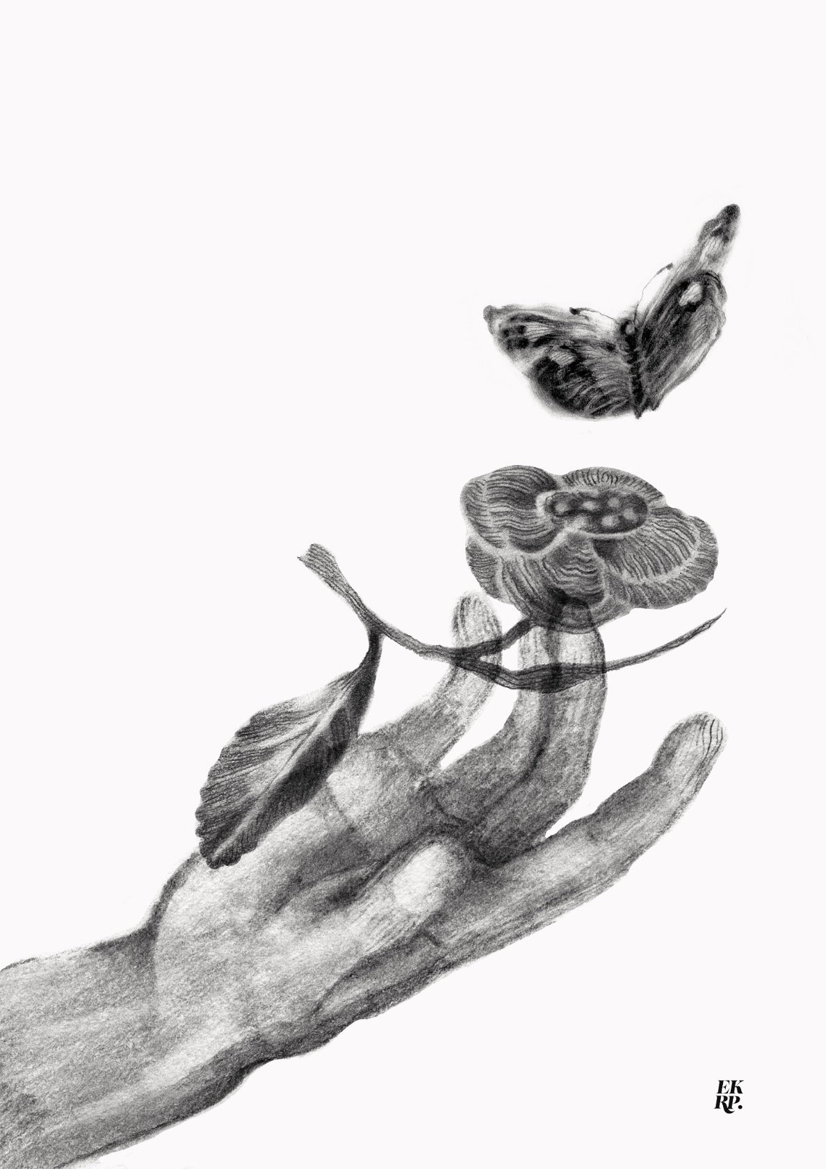 Hands of Creation : Serenity in the Palm of your Hand