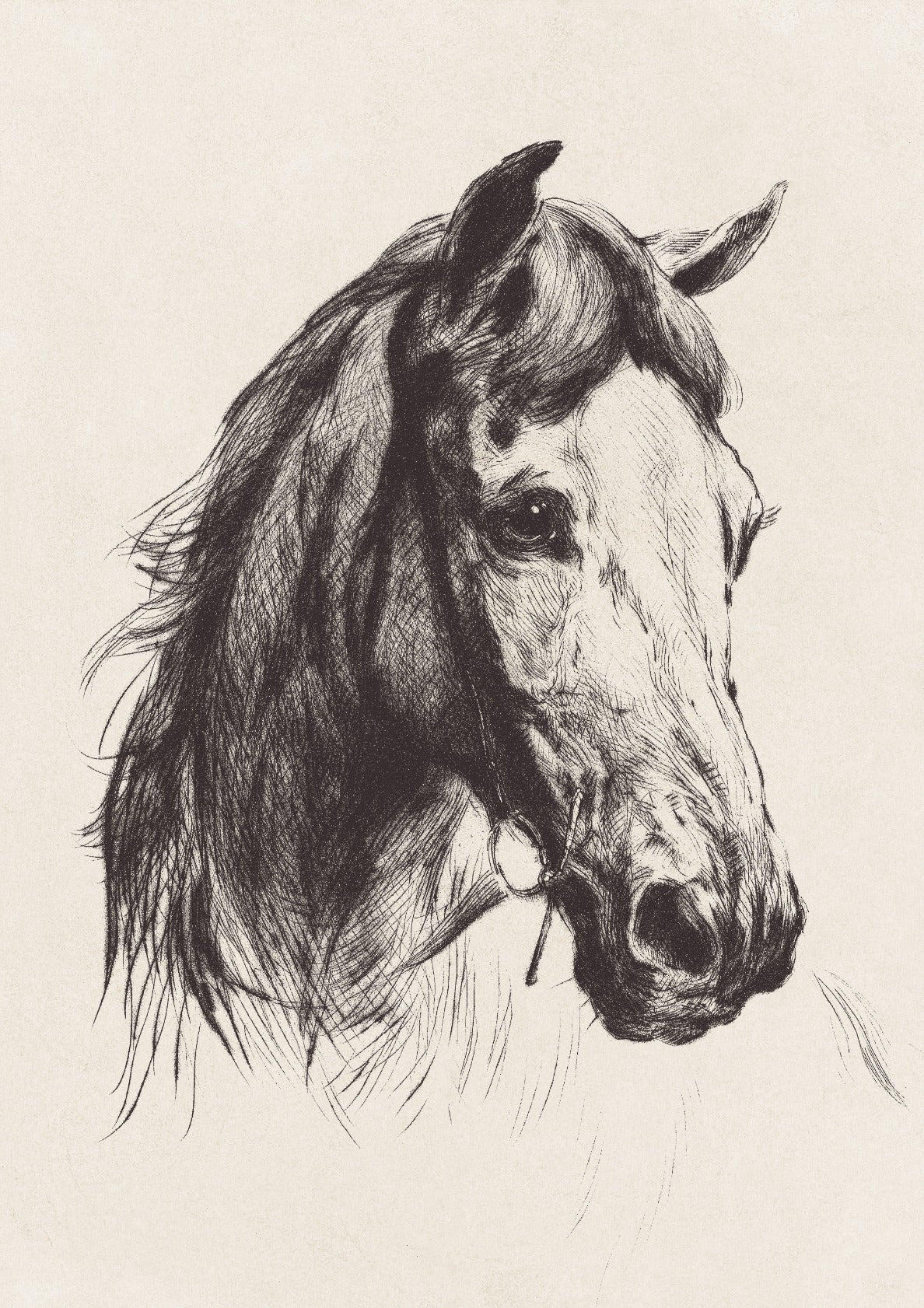 Horse Sketch no. 1