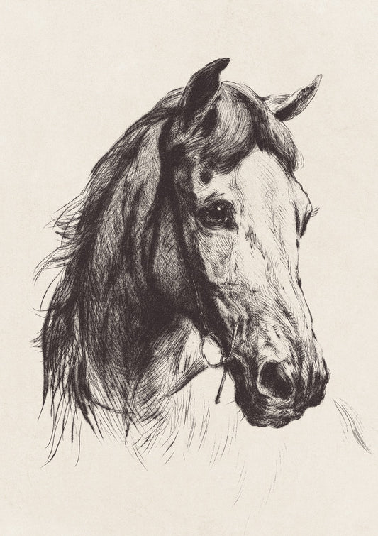 Horse Sketch no. 1