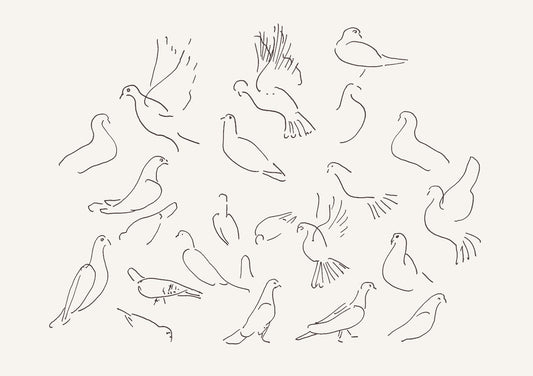 Doves Sketch no. 1