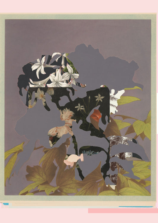 the first plant · botanical c