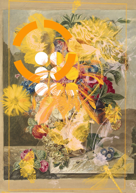 the first plant · mix 3