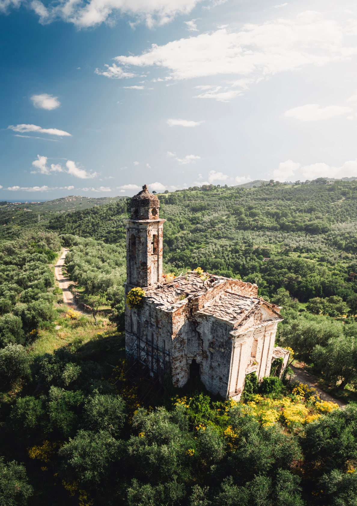 Abandoned Church Among Olive Tree Fields