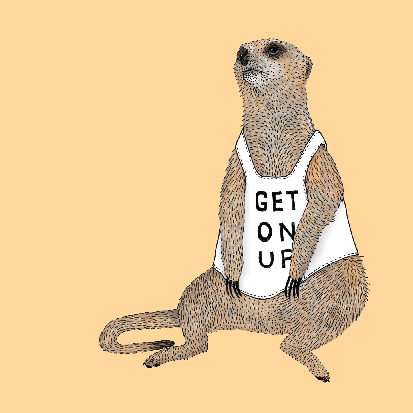 Mellow Meerkat