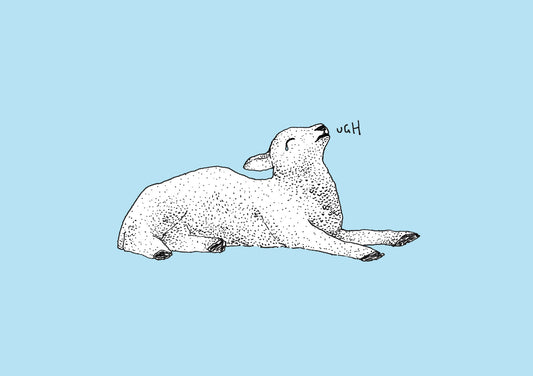 Exasperated Lamb